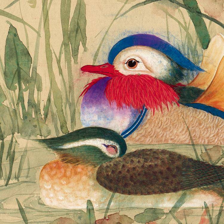 《荷花鸳鸯》齐白石裱QXR名人国1画办公室客45*58cm厅已包邮