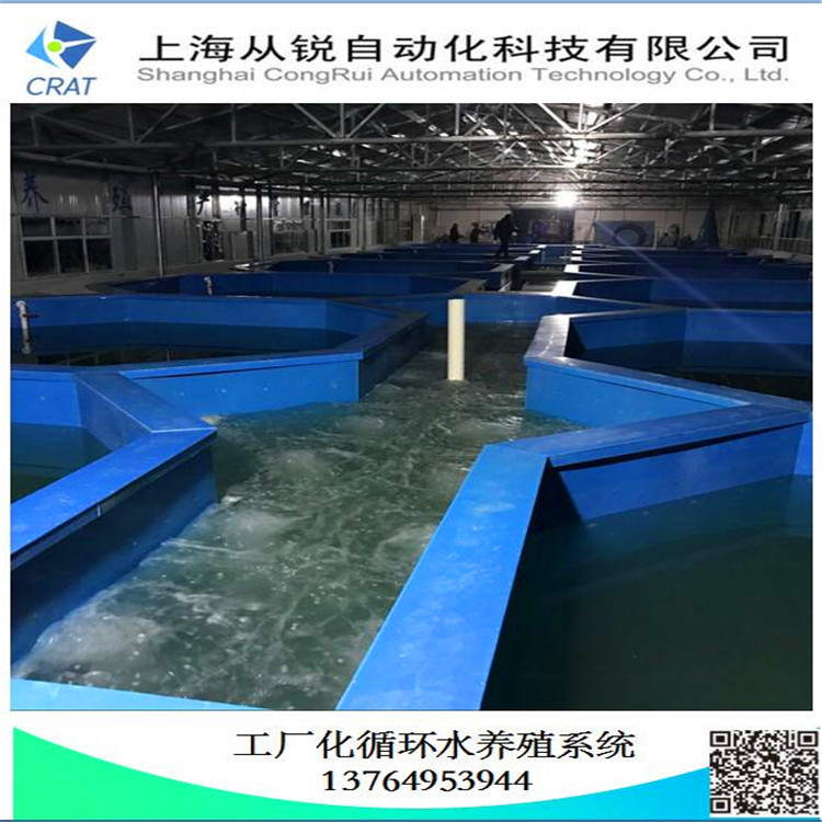 上海从锐500㎡工厂化鳜鱼养殖设备/循环水养殖鲑鱼/室内养殖系统