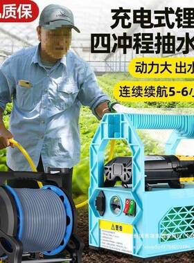 V锂电小型农菜地充电水式抽泵浇菜浇水溉浇LMI地用家用灌抽水机