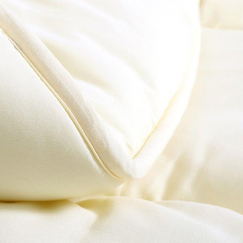 被芯四被季通用桑被10厚0加保暖冬被芯子丝春秋被PEU双人夏被夏凉