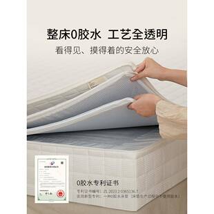 栖作垫家坚果三代席梦思用硬经垫济儿童护脊椎无品牌/弹簧记忆棉