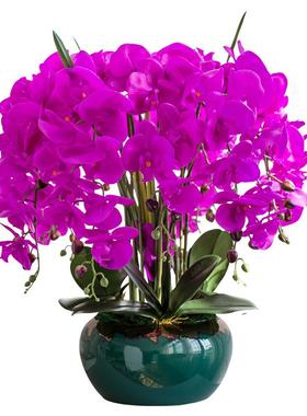 花轻奢高品质手感蝴蝶兰仿真花客大型假花摆件厅酒前店台装t62850