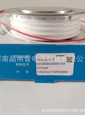 TECHSEM湖北基可控SVM硅Y89KKG300台02A500V300V中频炉快速晶0闸