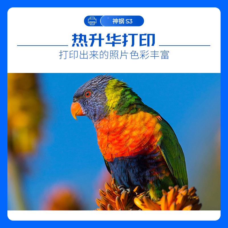 楼神钢昕芙旎雅S3自覆膜华热升打印机影照相动馆商用UMH照片打印