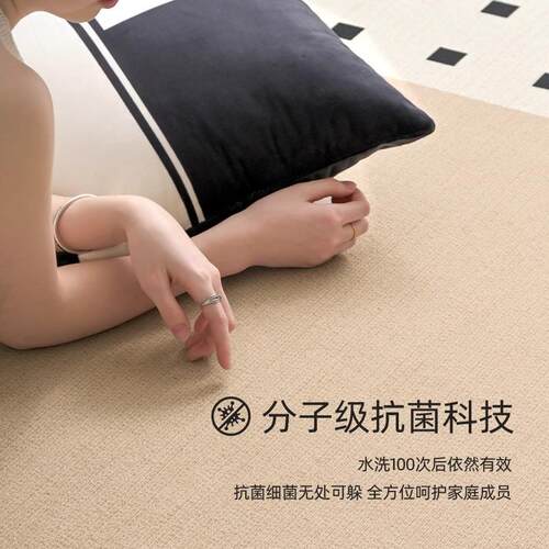 地免毯客厅卧室房2025新中古风qr060301床边间免洗可擦打理复款古