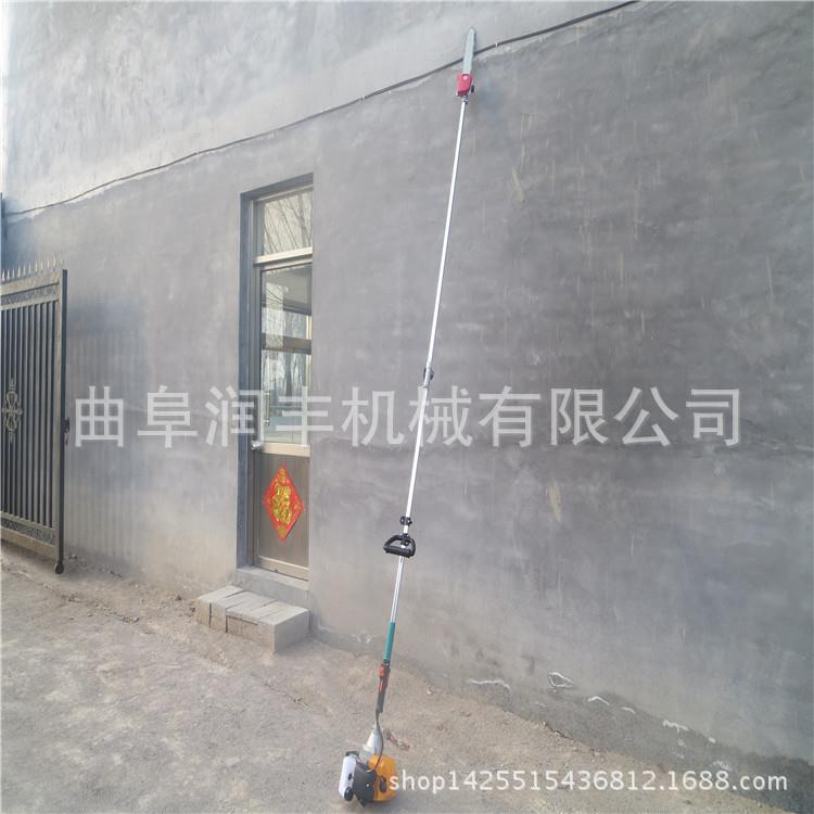 树枝4568201树汽高枝锯白油杨价树修剪打枝机杈大功率汽油高枝锯