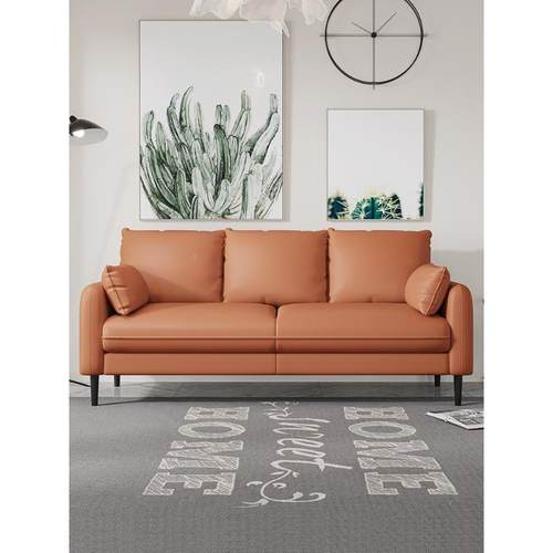 小户型科技布息沙发客休区厅待202BZ_102-25新款服装店办公室双人