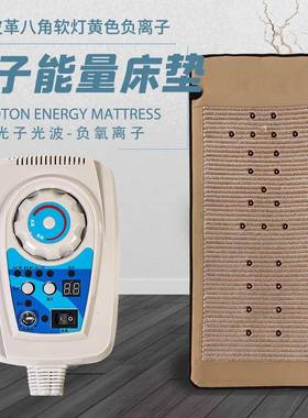 鹿养11111111茸皮光子能量床垫电加热床垫外双温双控理疗床红垫远