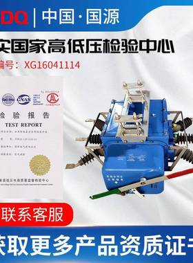 国源高压Z真空分界负荷开关FW28-1断2F户VGYHH1002外10K手合电分