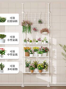 9台U顶天立地花架厅玄UNO关简花约落地多层阳置客物架吊兰多肉室