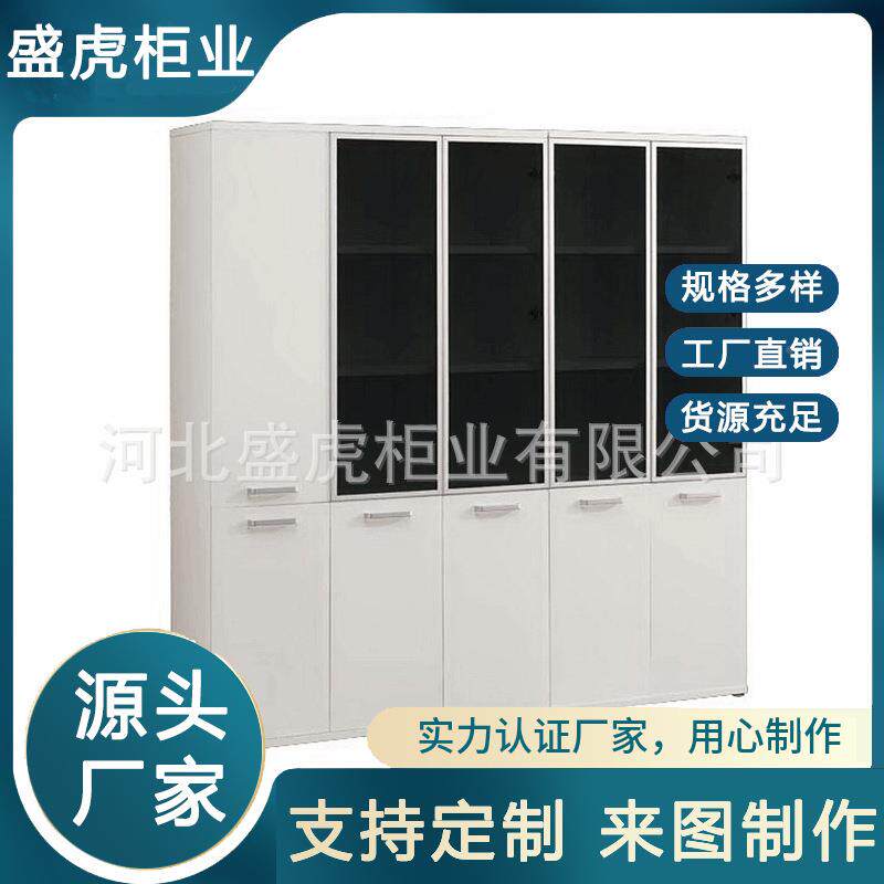 更档案文件衣柜钢制储档物柜办公室文件案带柜锁财务室凭证资料存