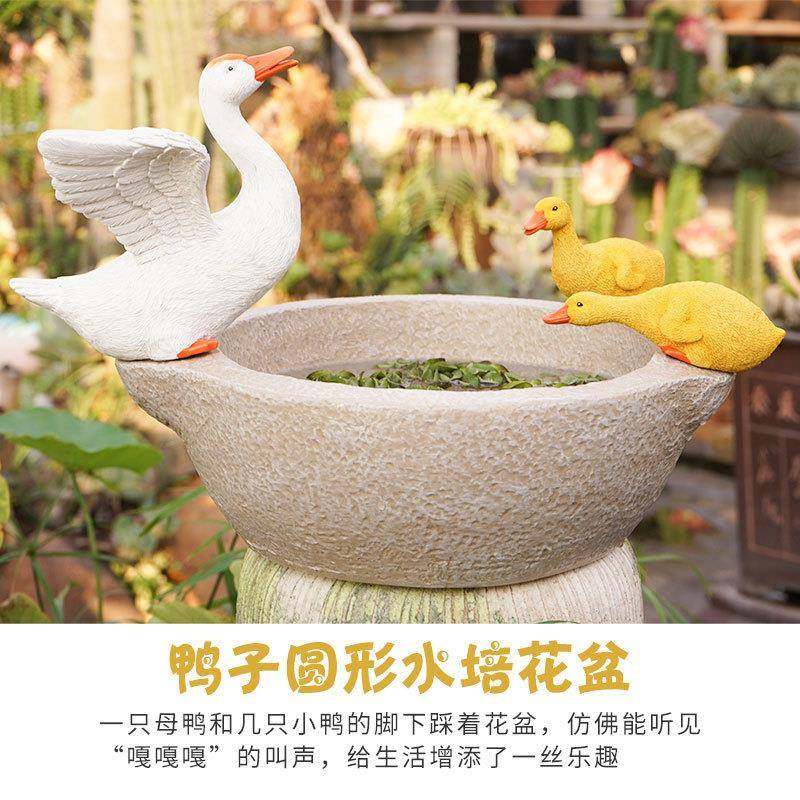 阳鱼装饰布置鸭子台蜗牛水培水瓢花创盆意摆379件庭院花园养摆件,家居饰品,户外/庭院摆件,淘宝优惠券,粉丝福利购,淘宝优惠卷