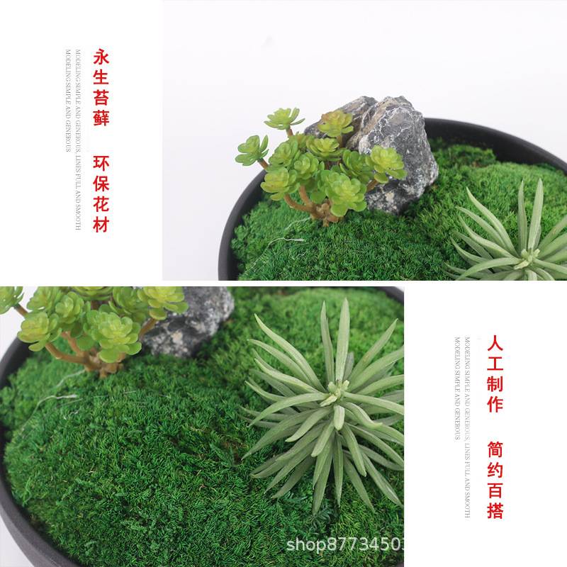 新中式仿真永生苔藓办公室书桌绿植样板间玄关茶几盆景会议室摆件