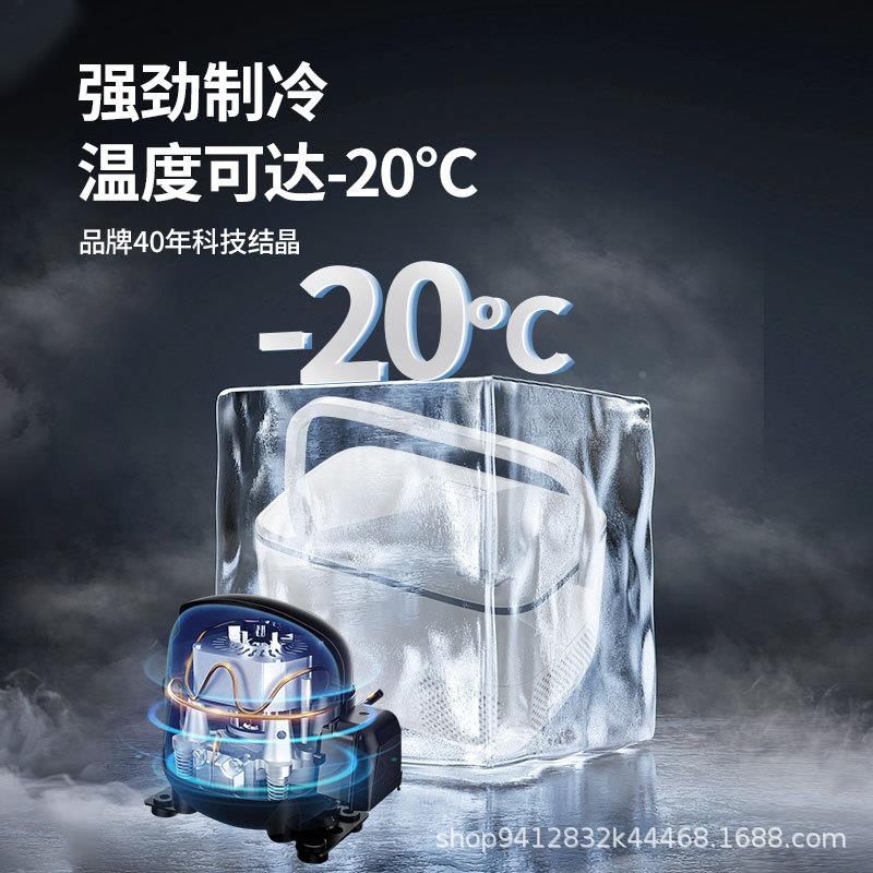 SAST载冰箱压缩机型制12v24v两用车493冷藏冷冻双门冷货车小冰柜