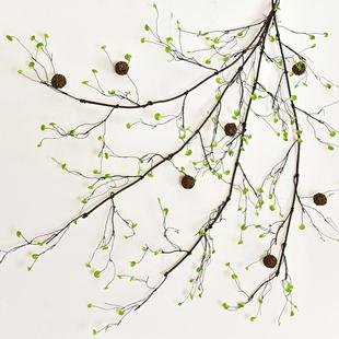 真藤蔓植物枯树藤根SJI假藤条树枝干装饰绿植墙造壁挂花森林遮仿