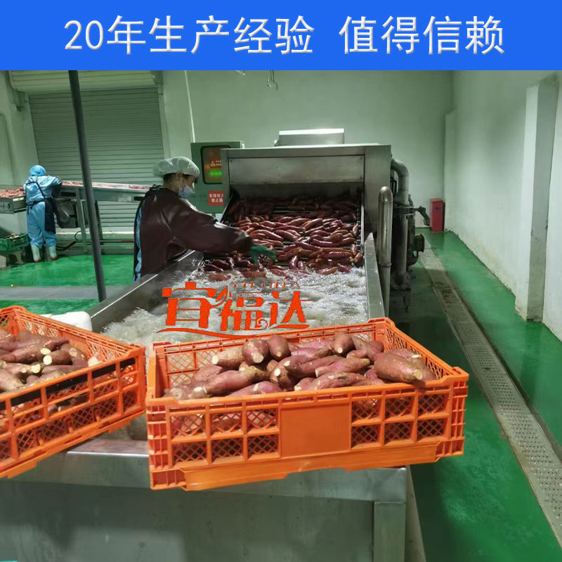 红薯高压喷淋清洗机 土豆萝卜毛辊去皮清洗设备 地瓜连续烘烤线