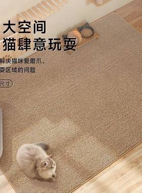 仿麻地毯客厅防宠猫抓地垫卧室剑物免洗fjm25110理可擦免打防水耐