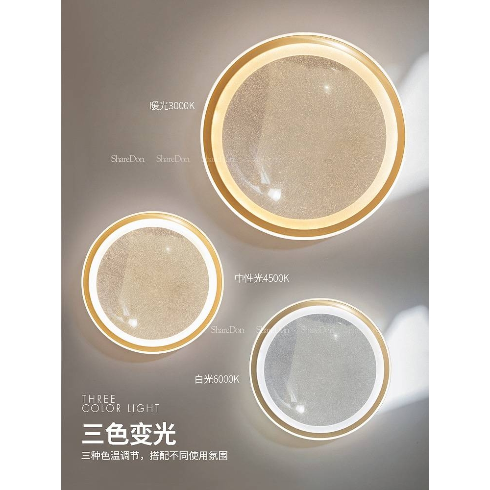 奢灯卧室吸顶灯房间灯现代简约主卧创意网红爆款书房轻奢意式灯具