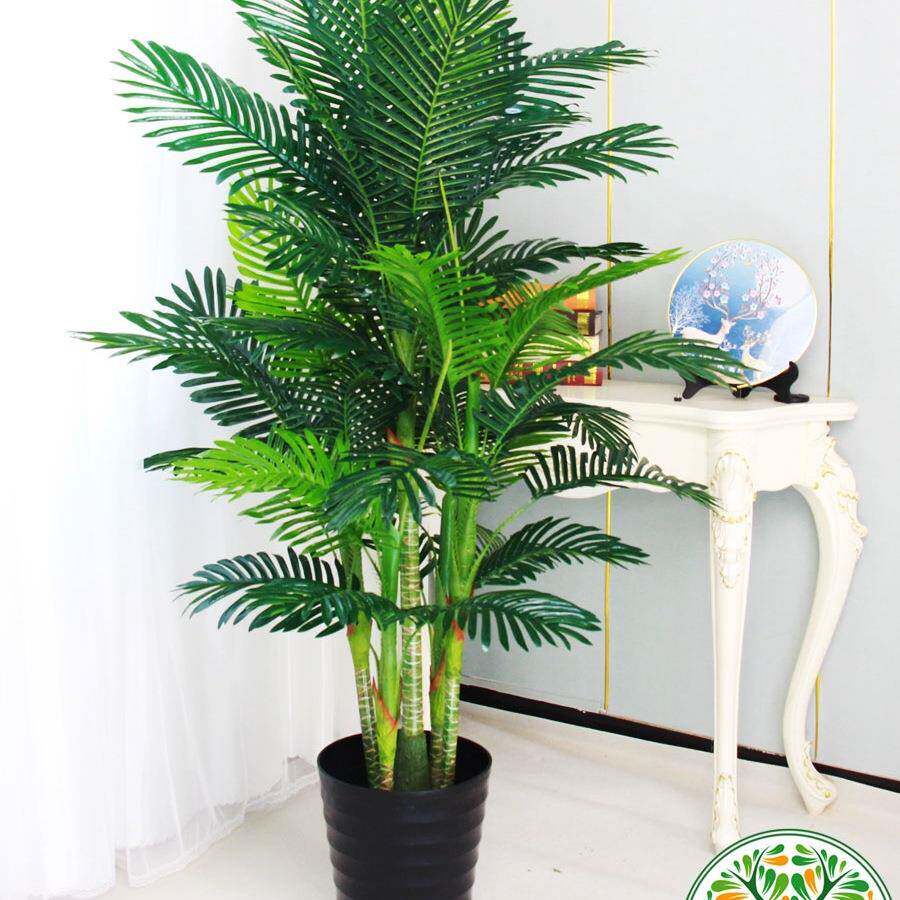 假树葵树物栽盆落地散尾葵10001029室植内装大型发财树客饰厅塑料