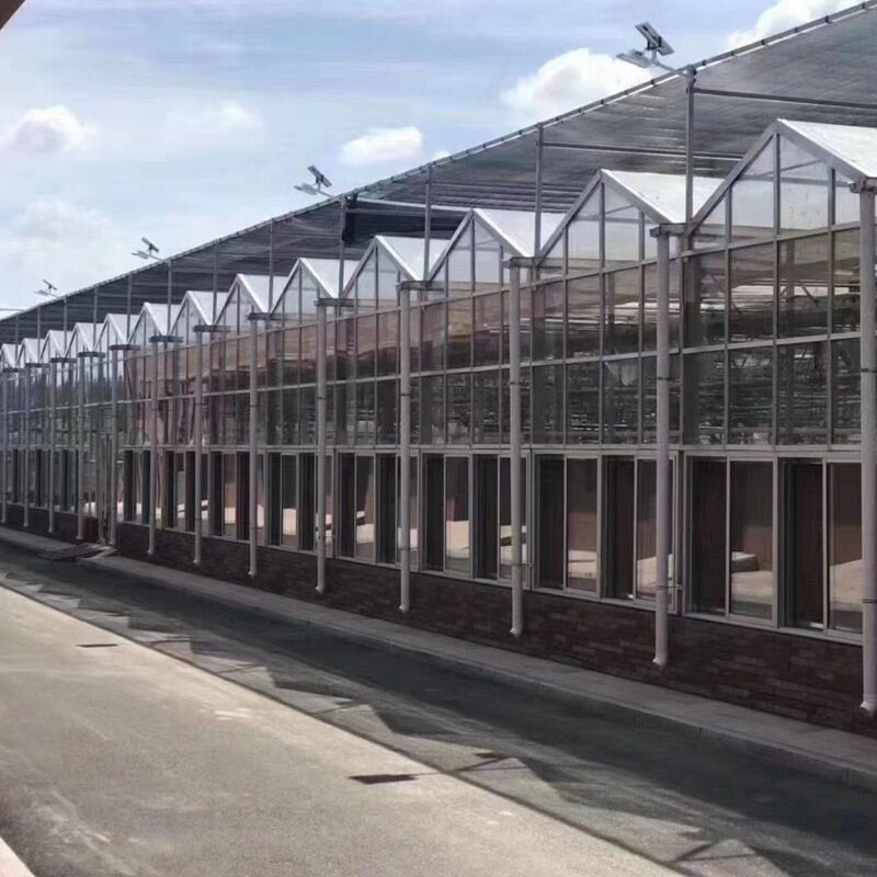 高端智能自动控温玻璃温室大棚