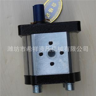 齒輪油泵 大量供應(yīng)齒輪泵不銹鋼齒輪泵各式