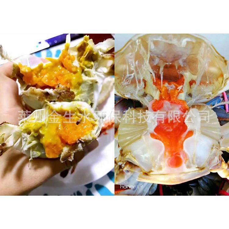 生态育肥蟹屋循环水养殖无公害养殖水产养殖设备,畜牧/养殖物资,特种养殖设备,淘宝优惠券,粉丝福利购,淘宝优惠卷