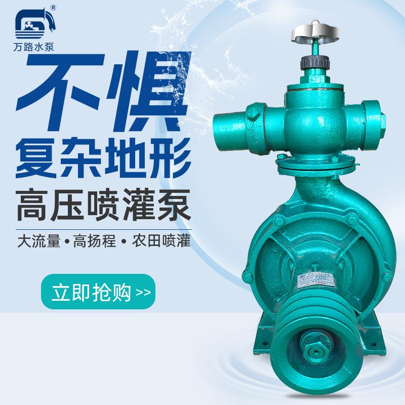 泵业家用农用各种型号喷灌泵高压抽水泵压井式调压离心泵