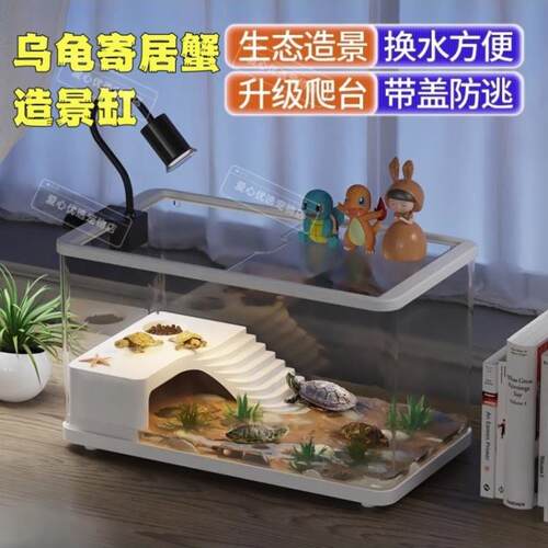 寄居蟹饲养箱套装小型桌面爬宠盒爬台生态养殖箱乌龟饲养缸巴西龟