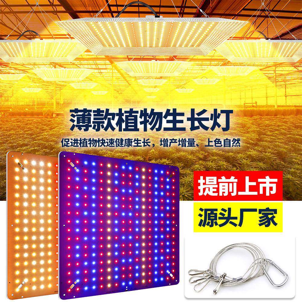 全光量子植物吊灯KOI反季节菜大棚蔬多肉果上色补光DLE植物谱生长 - 实物图