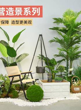仿绿植风15098营装饰造景室内直露播间橱窗假树仿真真植物落地摆