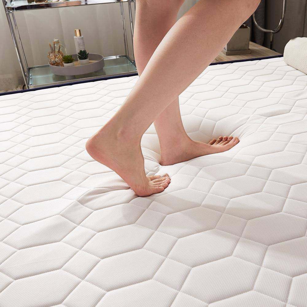 新款乳胶压垫学生宿舍双人榻榻米床垫IZD单透气加床厚抗宿舍床垫