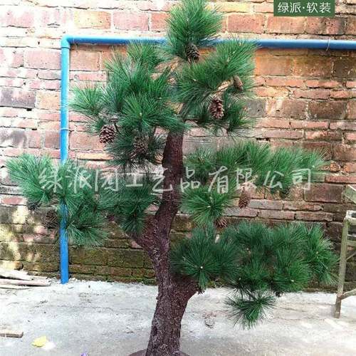 办公人室写ABA字楼空气清新绿化观赏松仿真松树大型造迎客树假松