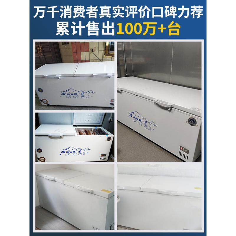 中国质造BNE冰柜商大容冰箱冷藏量冷冻卧式超大用双柜温铜管冷展