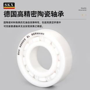 德国SKX陶瓷承60166017601860196轴0206216NIK62176218CERS