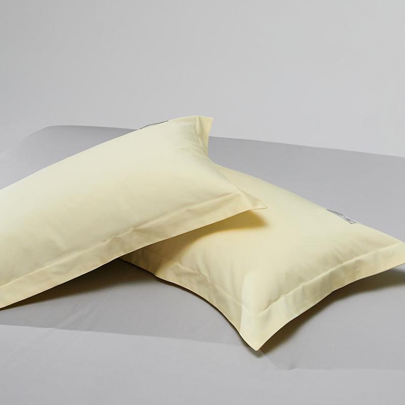 白四季长绒棉纯棉单独枕套色一对纯全棉卧ZSE室枕灰绿蓝红装黄紫