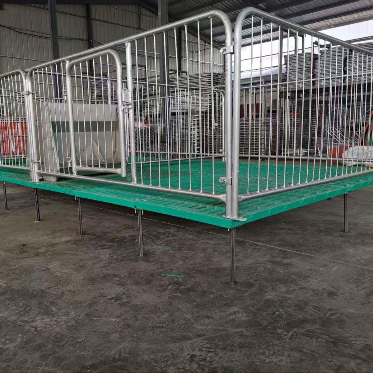 现货小猪保育ICT床热镀锌挡板全复合板加厚猪保育床仔猪床养殖设