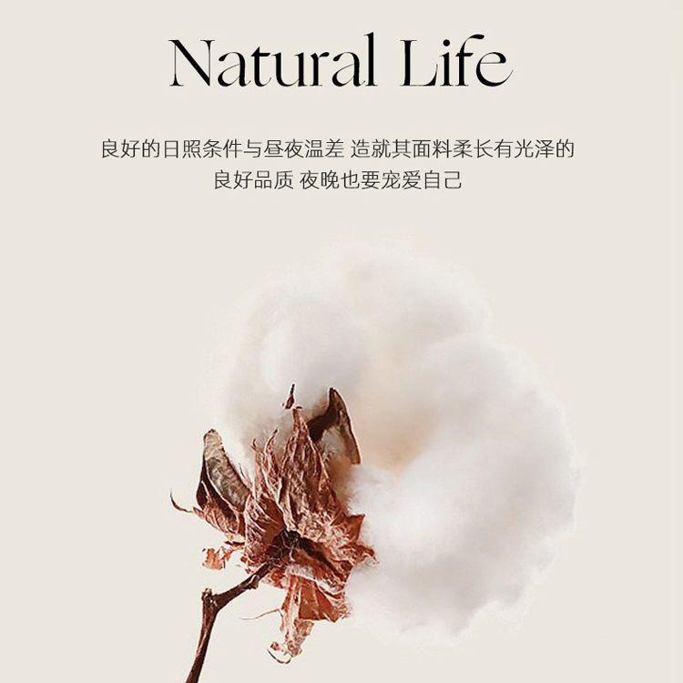 A全棉色织绣夹棉床单件席梦思床垫保护罩刺防厂家直供滑笠固定防