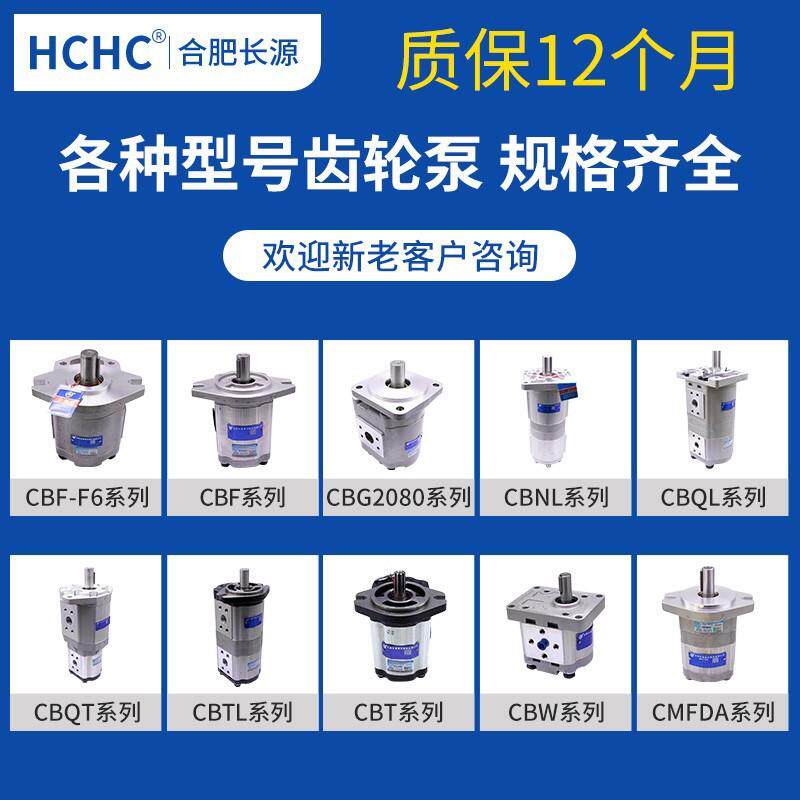 A合肥长源YVE齿轮泵C2BT-F430-ALHLCBT-F42-AFHLCBT8-F340-LX1油