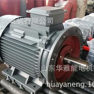 3电增容设计YE机4电机是否符合订货合同现情况 YETFV场74 250M