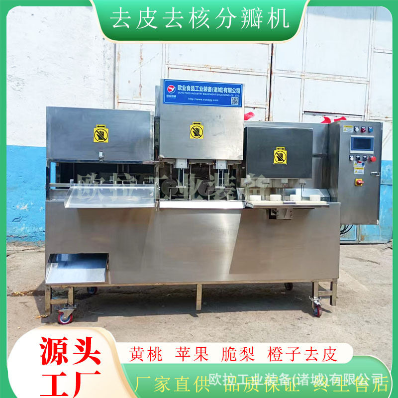 冻干水果全自动商用去核去皮机