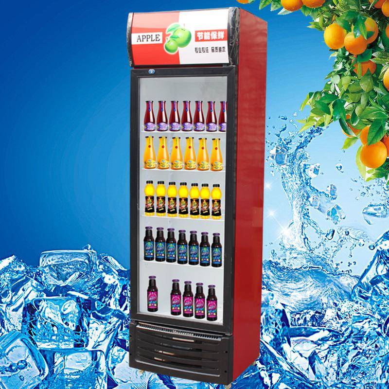 冷藏ZOM柜展柜保鲜饮料示柜商用啤超市冰箱小型酒立式双门冰柜