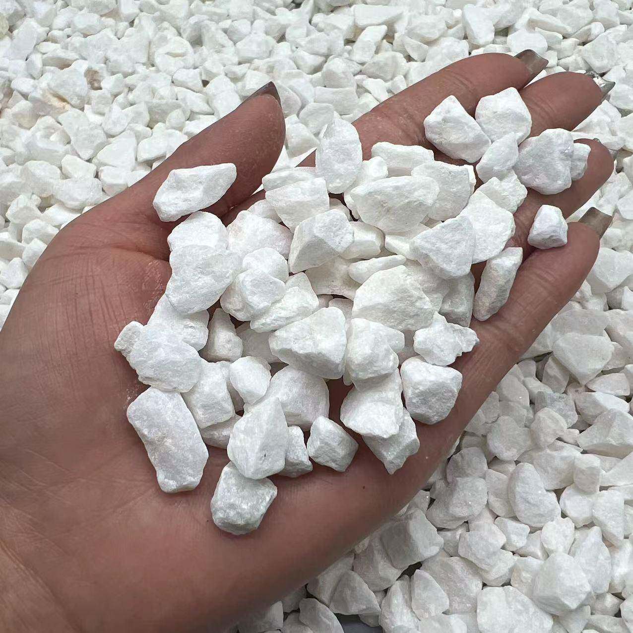 YDL白子碎石水磨石石子观园林家装铺面石景白石水子洗石