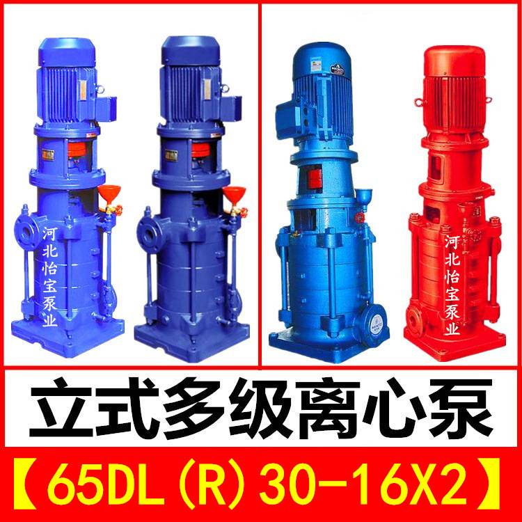 65DL30-16X2立式多级泵DLR型热水增压管道离心泵 高层建筑给水泵