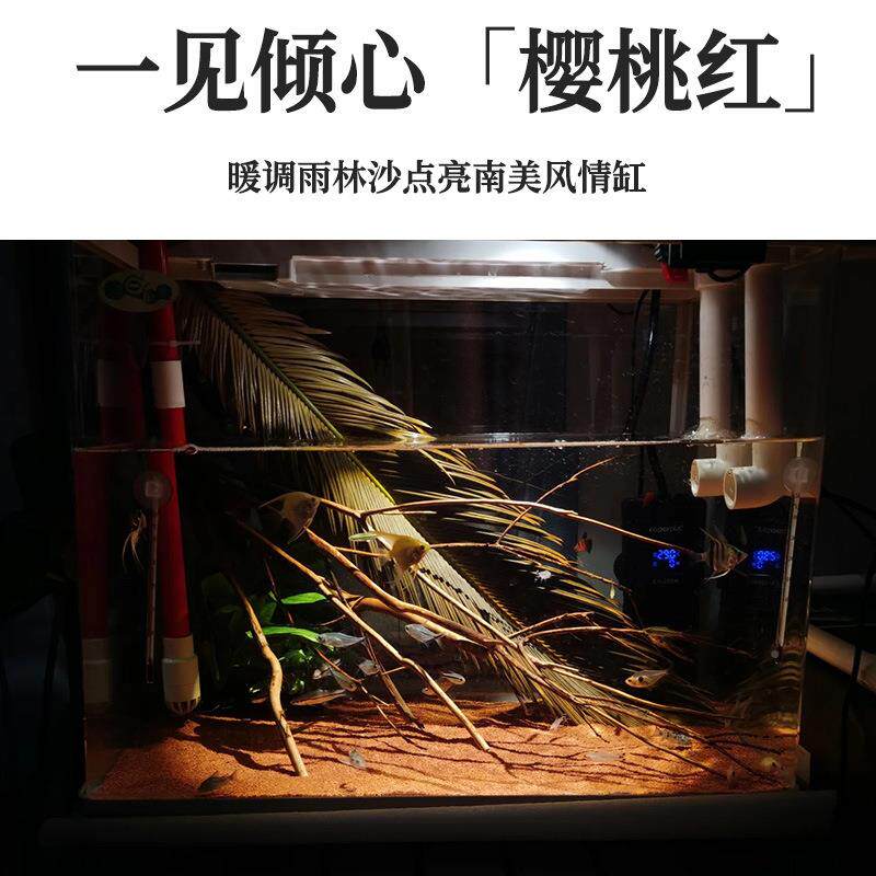 热带品雨林鱼沙缸底砂精南美三湖慈鲷鼠沙埃及七彩龙造景509雷沙