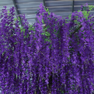 仿真玻璃钢紫藤树大型植物仿真豆花树仿真紫藤花树花假垂钓树