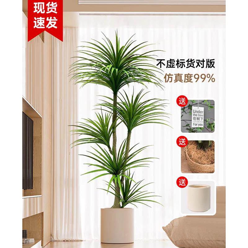 龙树仿真绿植SMZ龙须树龙铁摆树客厅装饰室内大型假血植物盆栽落