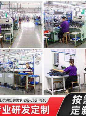 428矩0大扭直流无刷高NFO速电机4mm洗车机3242V微型直流电机500马