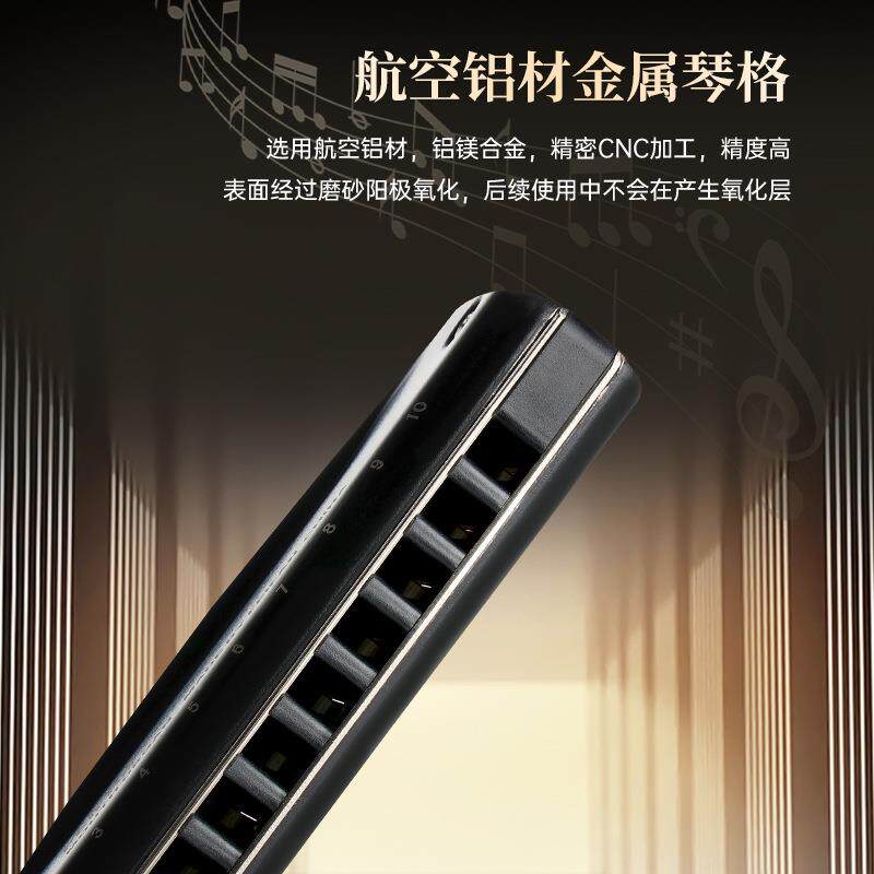 AFEIFN飞繁布十孔攀岩者C调鲁斯门口琴MC20初学者无品牌/入专业演
