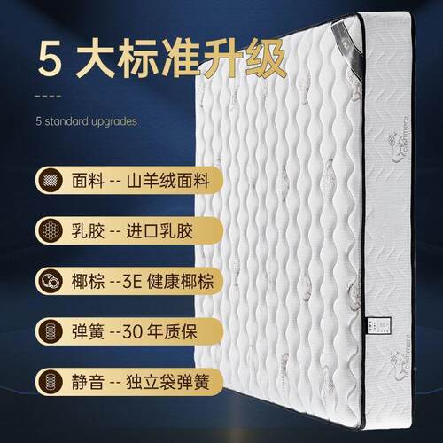 225床垫席梦软硬两经用020cm济型家用乳胶椰思棕YYE弹簧床垫租房