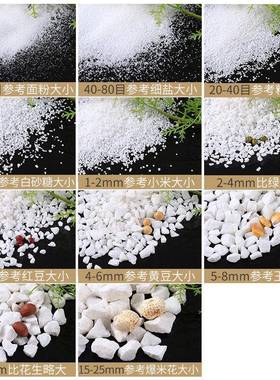 石英砂颗粒174缸细沙白色灭烟沙酒店烟缸专灰用垃圾桶鱼白造景纯